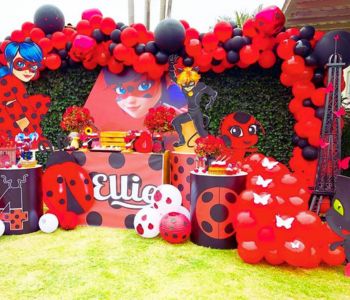 Decoracion de Ladybug para fiesta infantil de niña